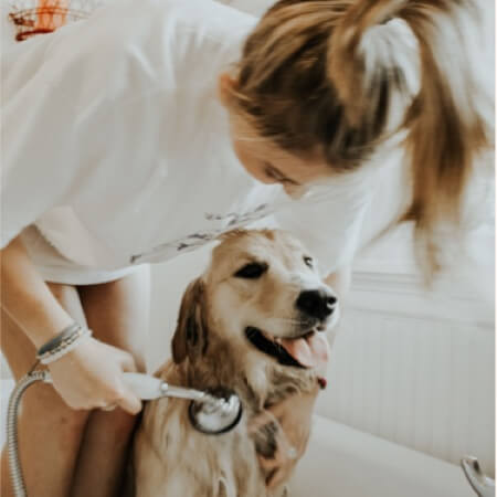 How to take care of your pet’s body