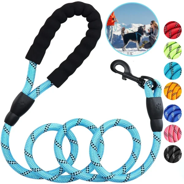 Reflective Nylon Dog Leash