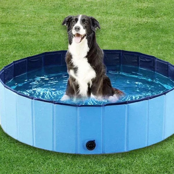 Portable Dog Swimming Pool