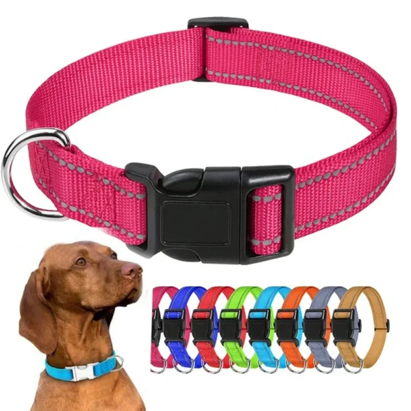 Small Dog Collar Puppy