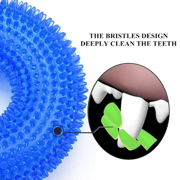Squeaky Spiked Dog Chew Toy